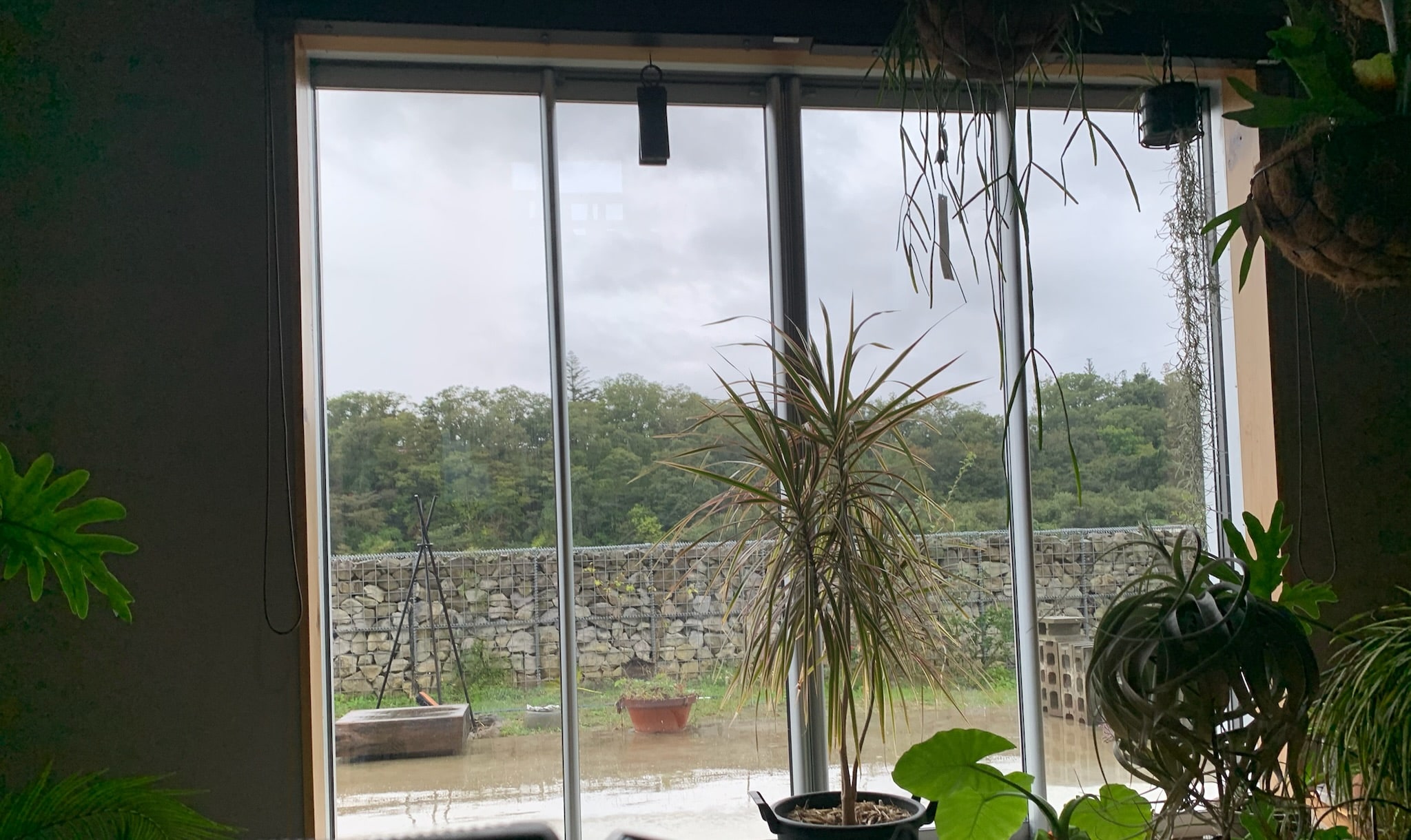 植物のある室内から、窓越しに土地へ馴染むガビオンを望む風景